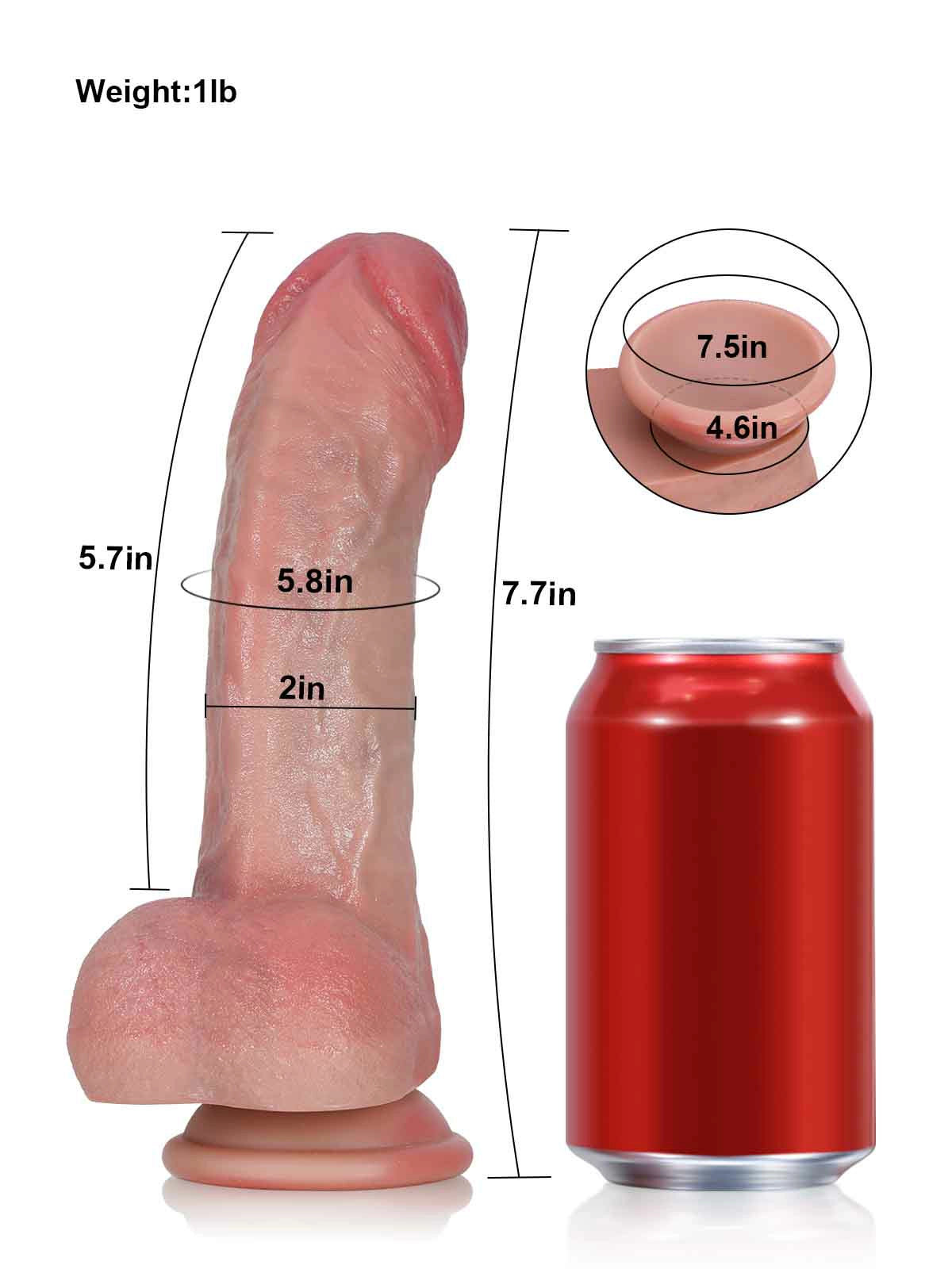 Gary 7.7 x 2 Thick Beginner Dildo with Pronounced Back Ridge & Soft Full Balls